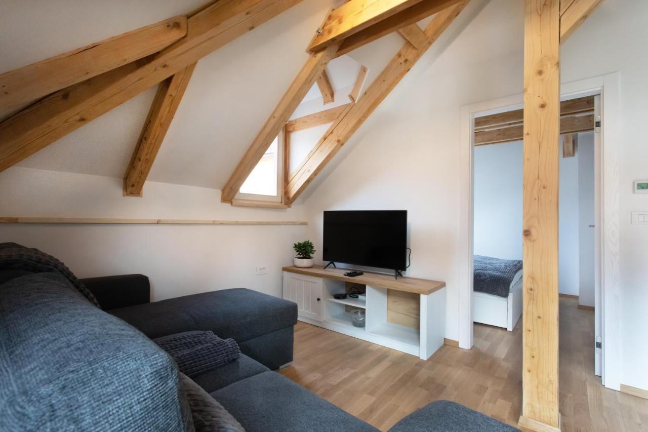 Bright & Spacious Loft In The Heart Of Old Town Λιουμπλιάνα Εξωτερικό φωτογραφία